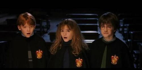 哈利波特四花絮,魔法世界的秘密与冒险花絮揭秘