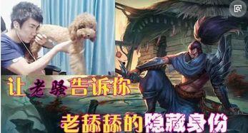 lol请演员,揭秘电竞圈的“演员”之谜